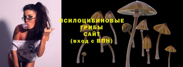 молекула духа Абинск