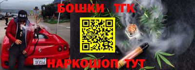 МДПВ Гатчина