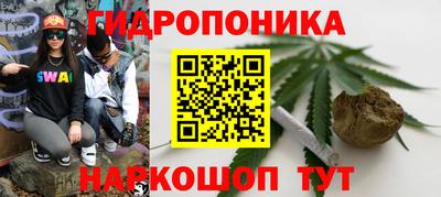 альфа пвп Гай