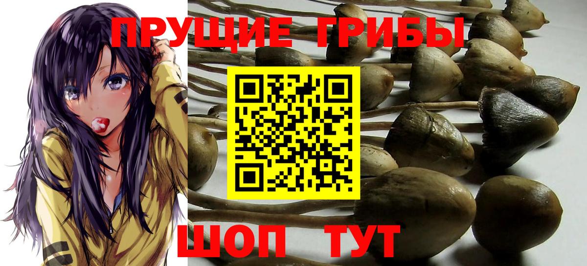 Галлюциногенные грибы мухоморы  Вход с VPN  Каменск-Шахтинский  Псилоцибиновые грибы Magic Shrooms 