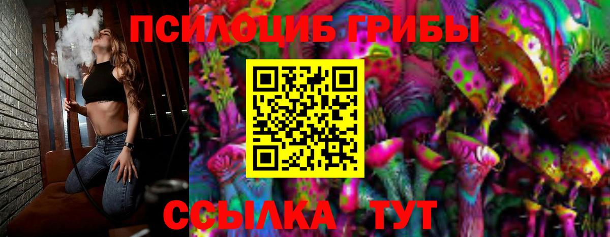 Галлюциногенные грибы Psilocybe Каменск-Шахтинский